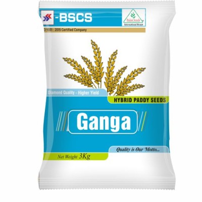 Hy. GANGA